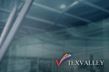 TexValley Website